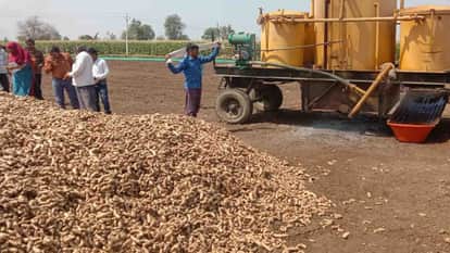 Burhanpur News: Turmeric from Burhanpur shines in 'Namaste Bharat' exhibition held in Russia