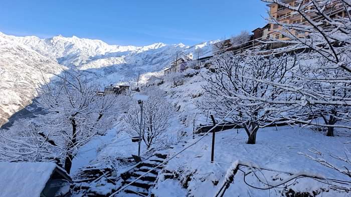 Himachal weather: The high altitude areas of Himachal covered in a blanket of snow, see beautiful Snowfall pic