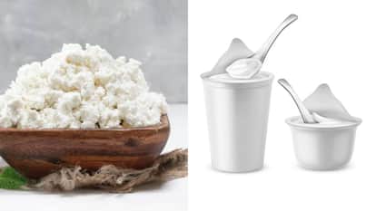 खाली पेट क्योंं नहीं खाना चाहिए दूध और दही