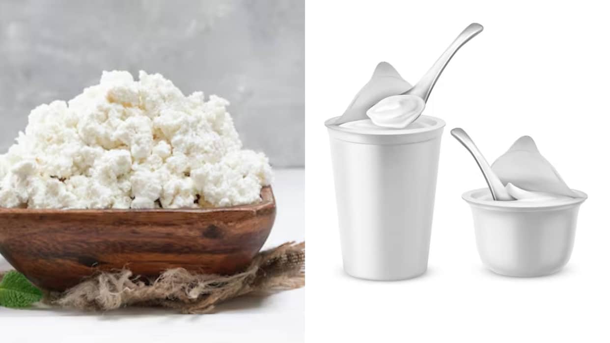 Having milk and curd on an empty stomach in the morning causes stomach related problems know here