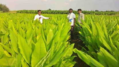 Burhanpur News: Turmeric from Burhanpur shines in 'Namaste Bharat' exhibition held in Russia