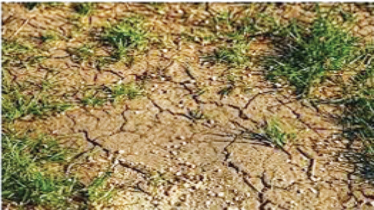 Additional emission of 20 to 35 million metric tons of methane every year need to make global targets stricter
