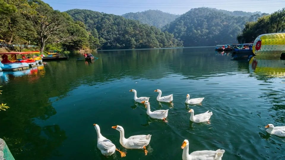 Kainchi Dham Neem Karoli Baba Ashram Trip: 7 Must-Visit Places Within 50 KM