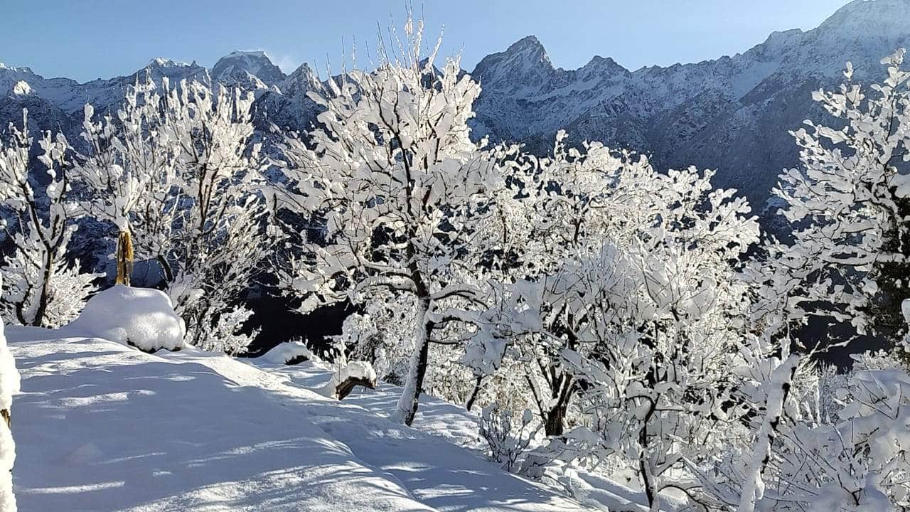 Uttarakhand Snowfall More than 50 villages and Auli in Chamoli covered with heavy snow school closed