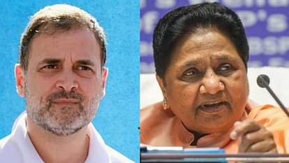 Mayawati reply back on Rahul Gandhi remark.