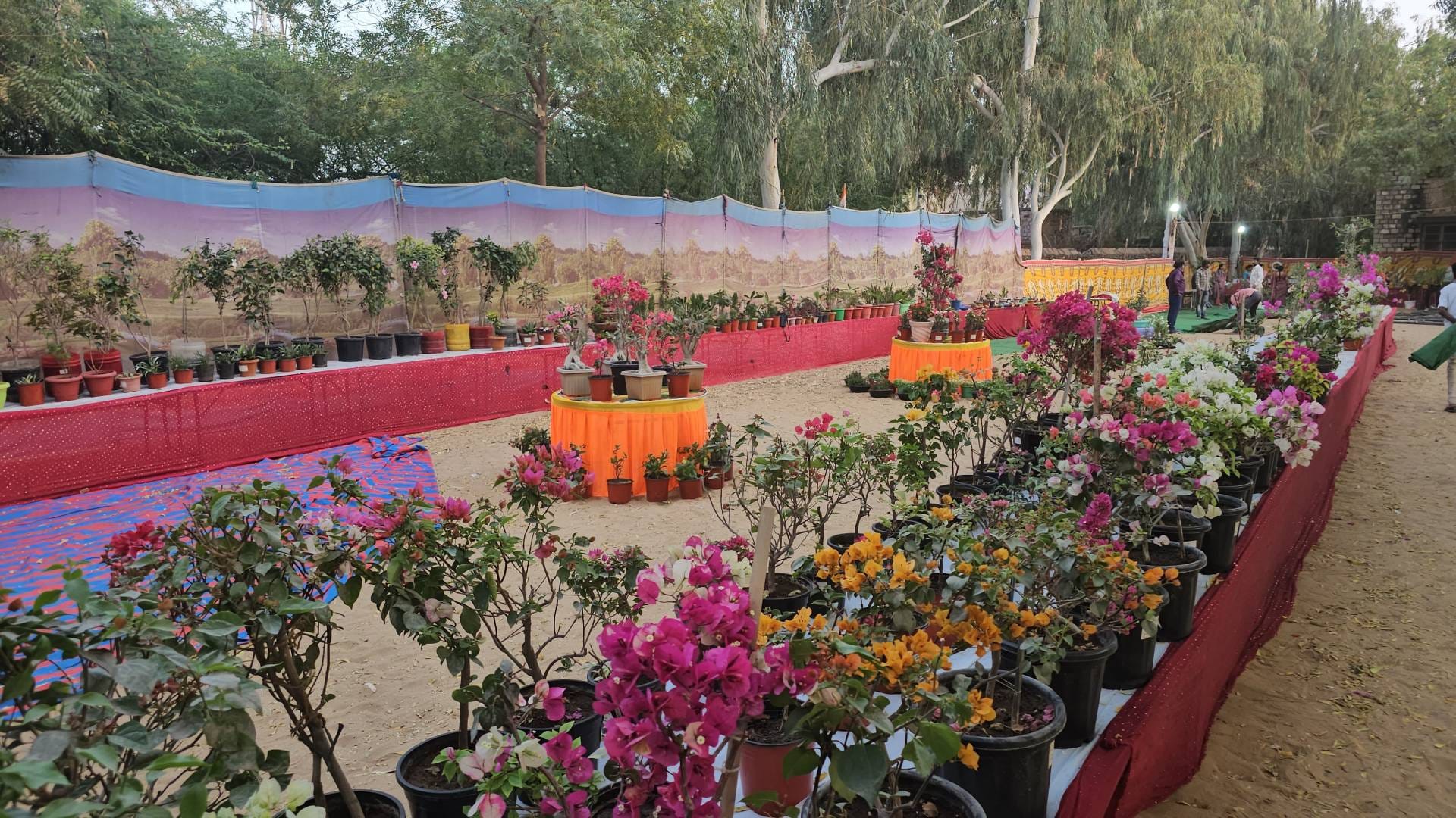 Fragrance of flowers in Barmer Five thousand plants of 250 species in three-day mega plant flower exhibition