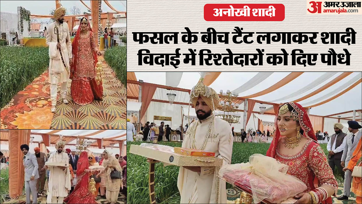 Unique wedding in Ferozepur Bride arrives with wedding procession at groom house, tent set up in amidst crops