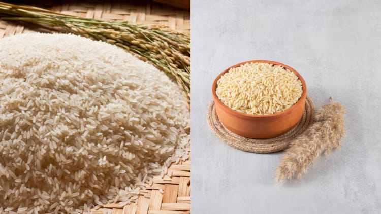 Brown Rice In Hindi White Vs Brown Rice:व्हाइट या ब्राउन चावल, किसे खाने से सेहत को मिलता ...