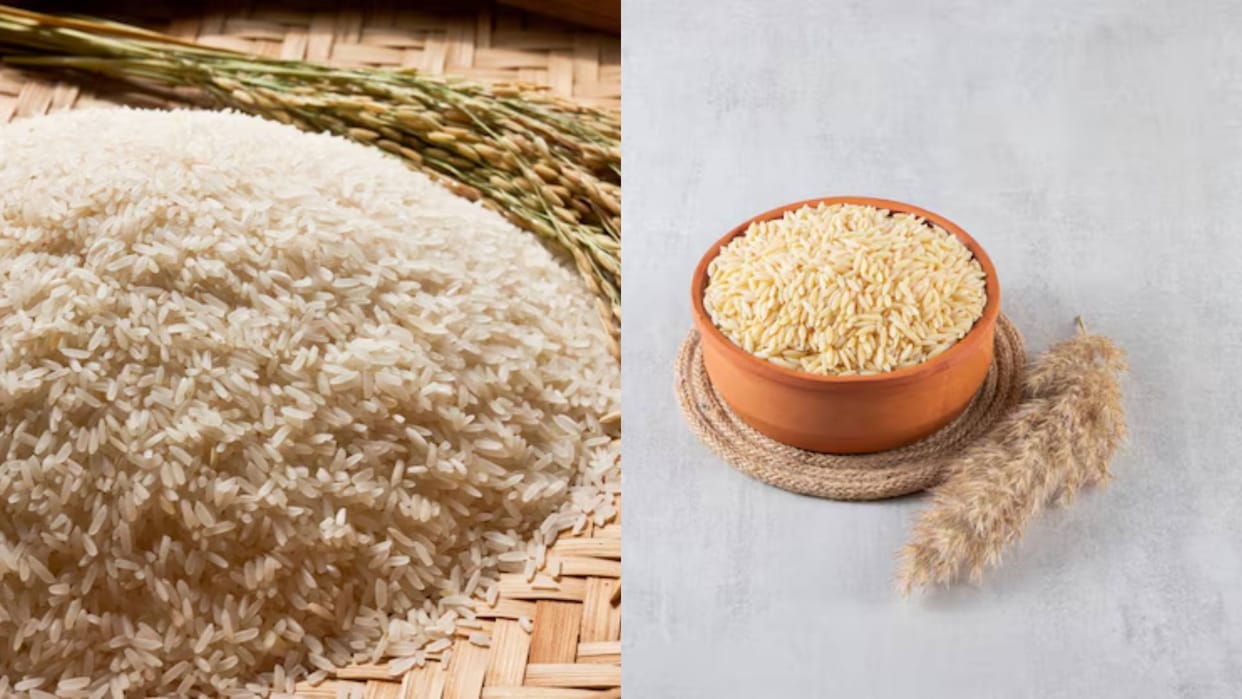 White Vs Brown Rice eating which gives health benefits Know Its benefits other details inside