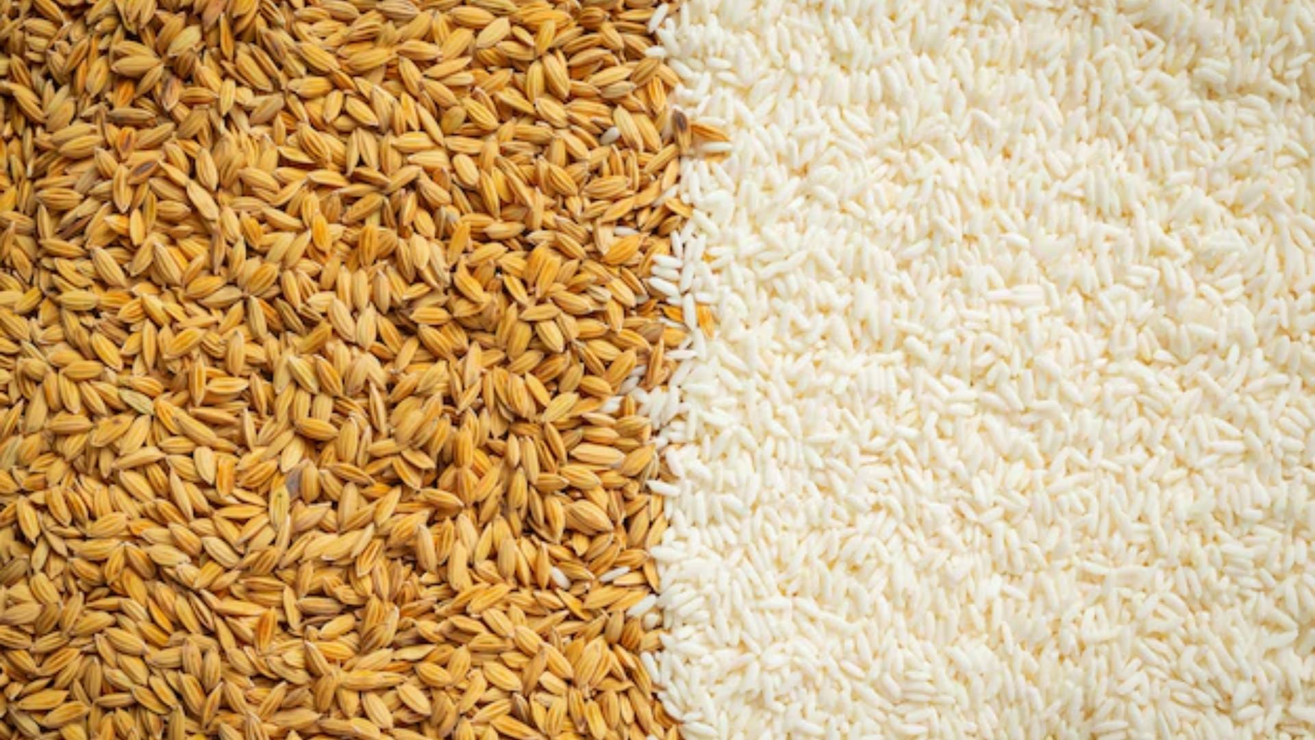 White Vs Brown Rice eating which gives health benefits Know Its benefits other details inside