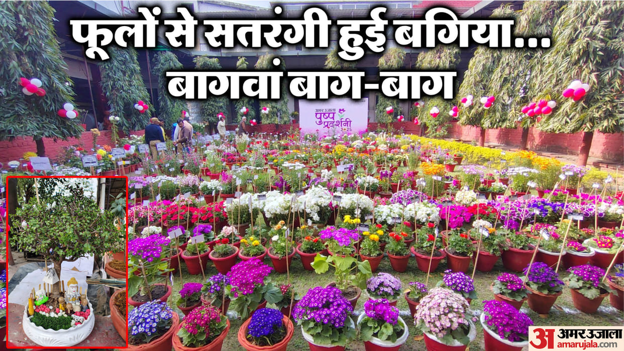 Amar Ujala flowers show courtyard bloomed with flowers Bonsai became the center of attraction