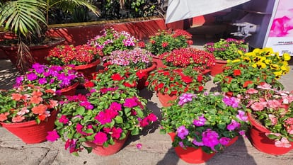 people gathered on the second day in Amar Ujala Flower Show