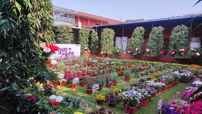 Flower Show in amar ujala Bareilly campus from March 13