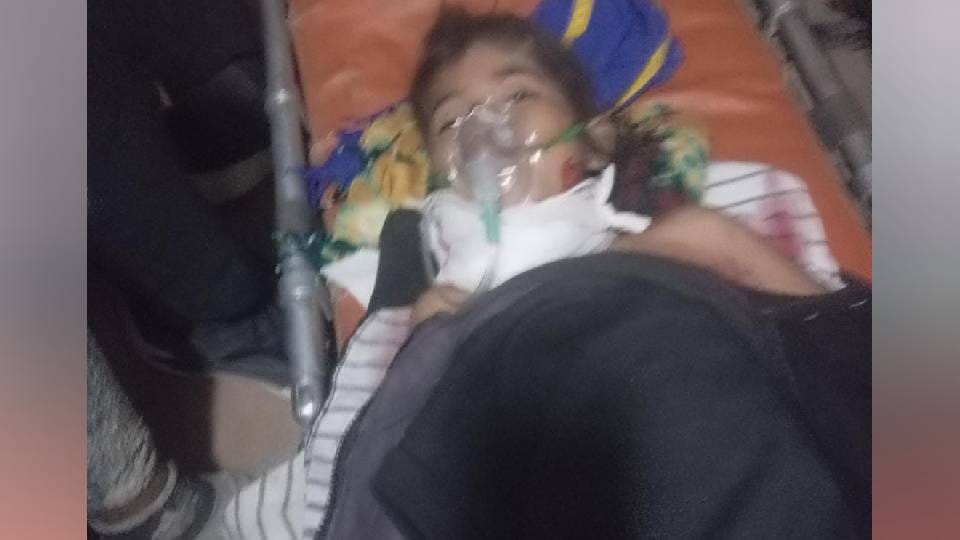 four-year-old innocent girl was mauled by ferocious dogs in Barabanki she died in hospital