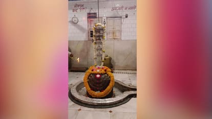 Damoh Jageshwar Dham Turmeric offered to Lord Jageshwar Nath Jyotirlinga Know History Significance