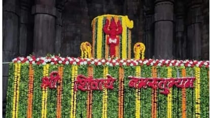 Damoh Jageshwar Dham Turmeric offered to Lord Jageshwar Nath Jyotirlinga Know History Significance