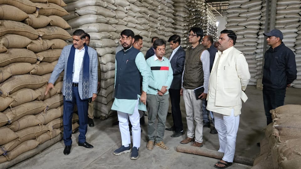 Wheat affected by weevil reaches 50 thousand houses of Aligarh