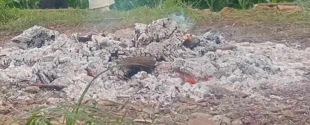 Wife was brutally murdered body buried in straw and then set on fire marriage took place five years ago