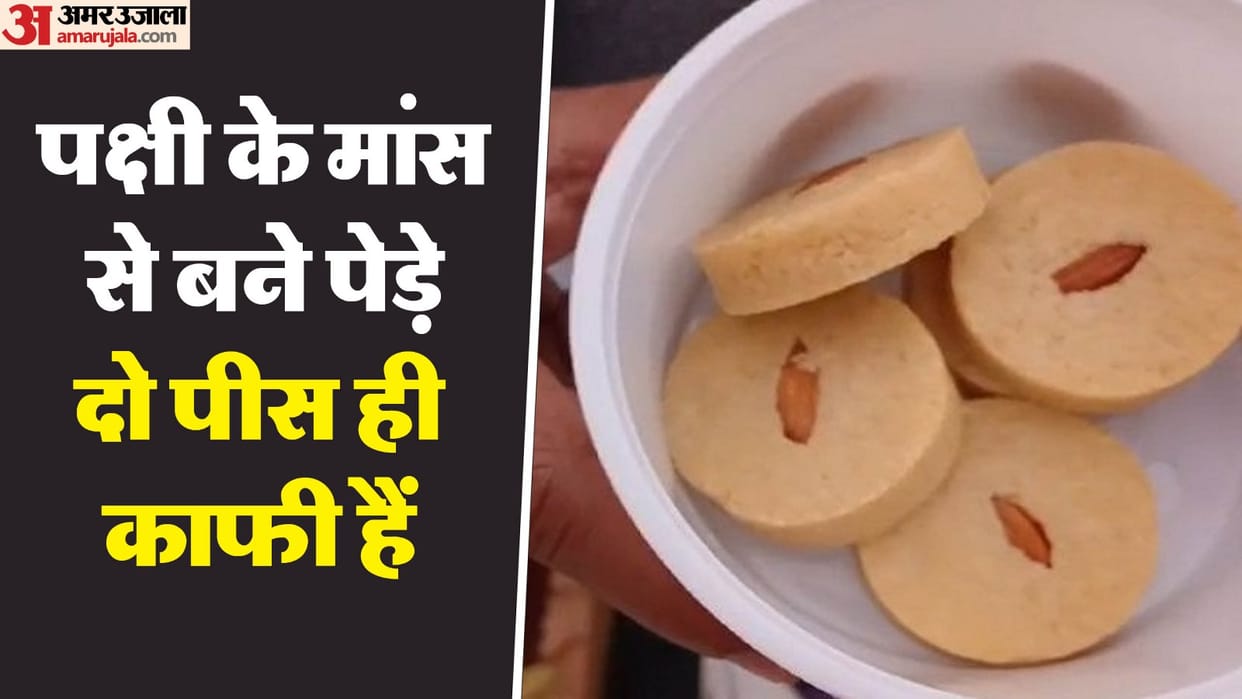 Scientists of Central bird Research Institute made biscuits peda and rasmalai from meat and eggs of birds