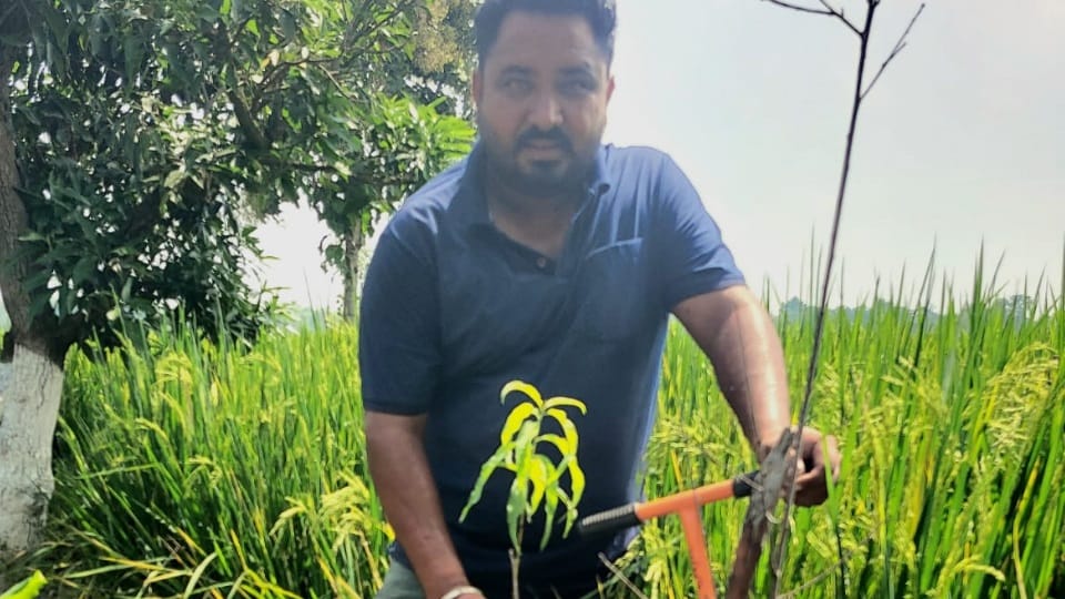 Manmeet Singh of Patiala left Canadian PR and returned home farming