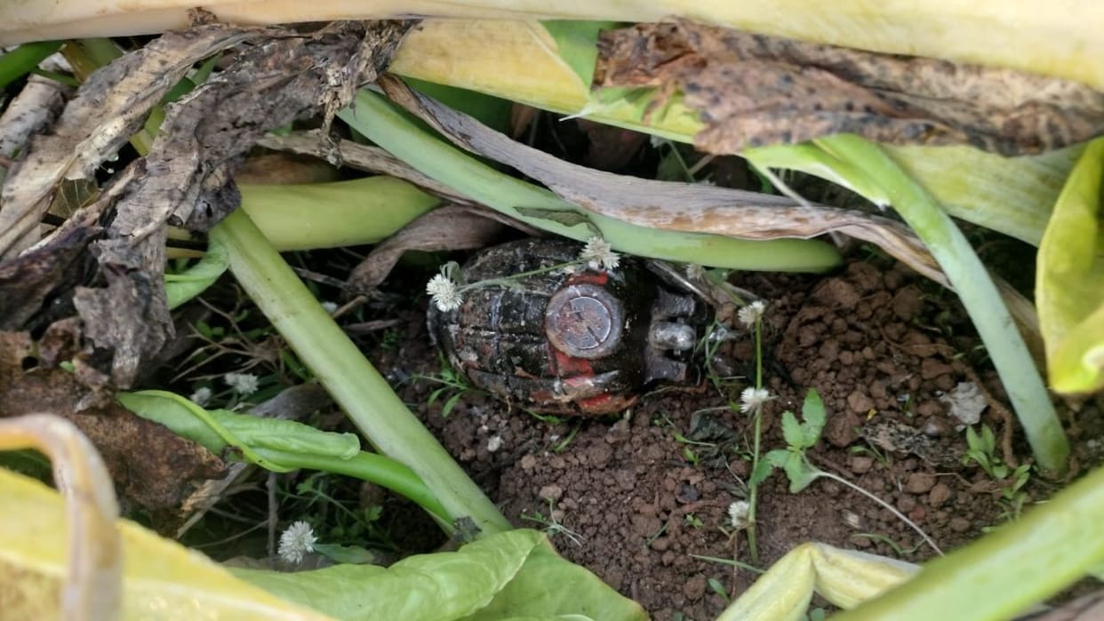 A live grenade found in Kutkana ravine of Rahain pin attached destroyed by Indian Army bomb disposal squad