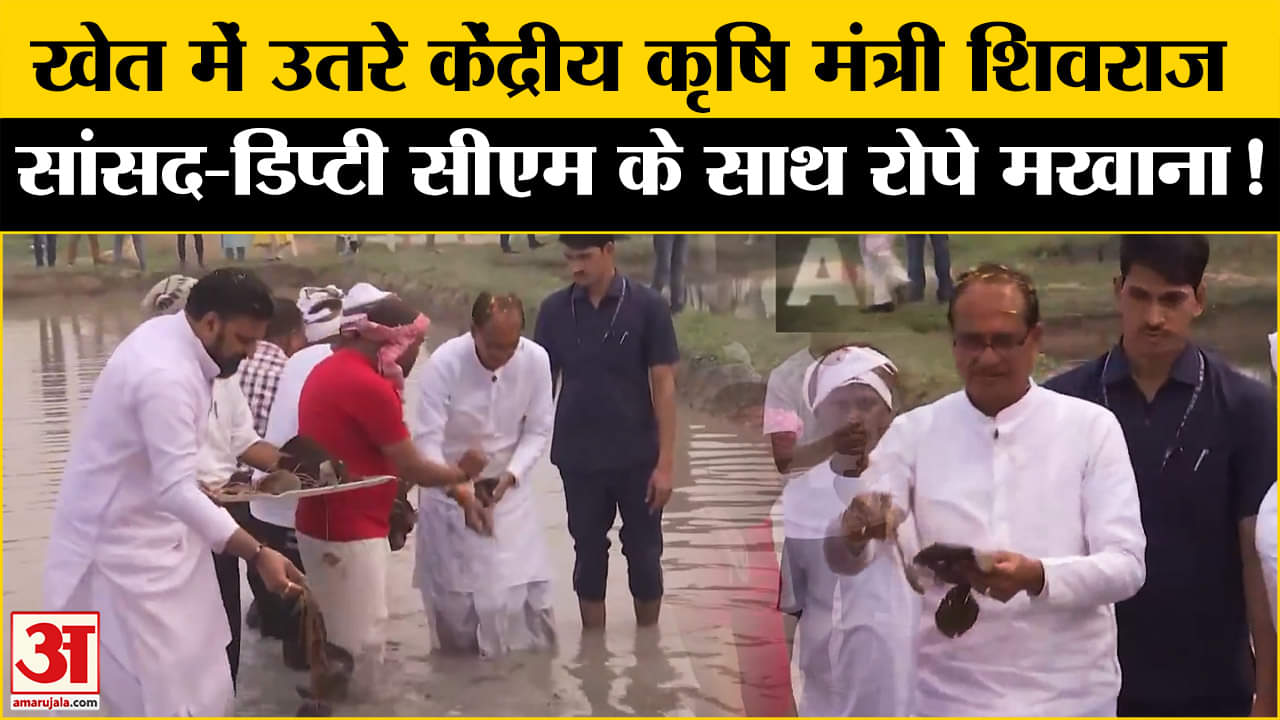 Shivraj Singh Chouhan: दरभंगा में अचानक खेत में उतरे शिवराज सिंह चौहान, डिप्टी CM संग रोपे पौधे