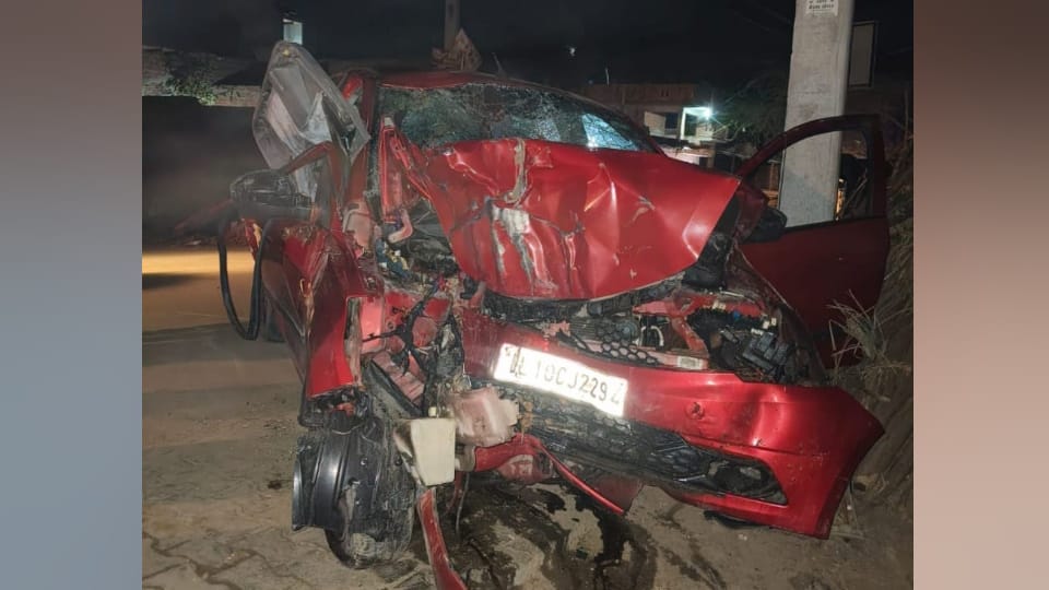 Accident in Bulandshahr Car lost control and hit a tree driver died many injured