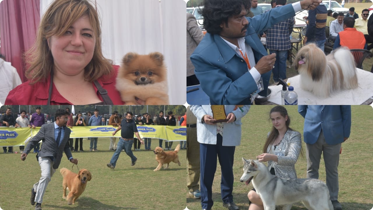 Dog show at Bareilly IVRI ground these doggies were the center of attraction