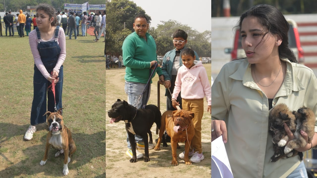 Dog show at Bareilly IVRI ground these doggies were the center of attraction