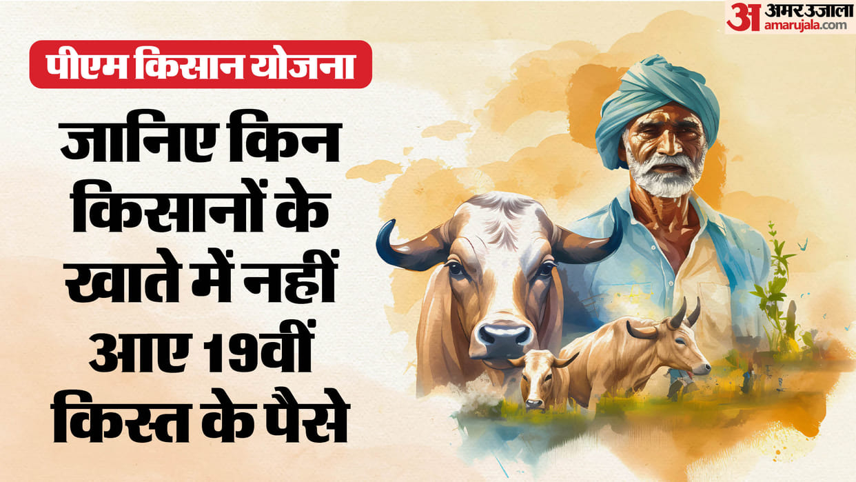 PM Kisan Samman Nidhi Ineligible Farmers 19th Installment Not Received Know Reasons Why Amount not Credited