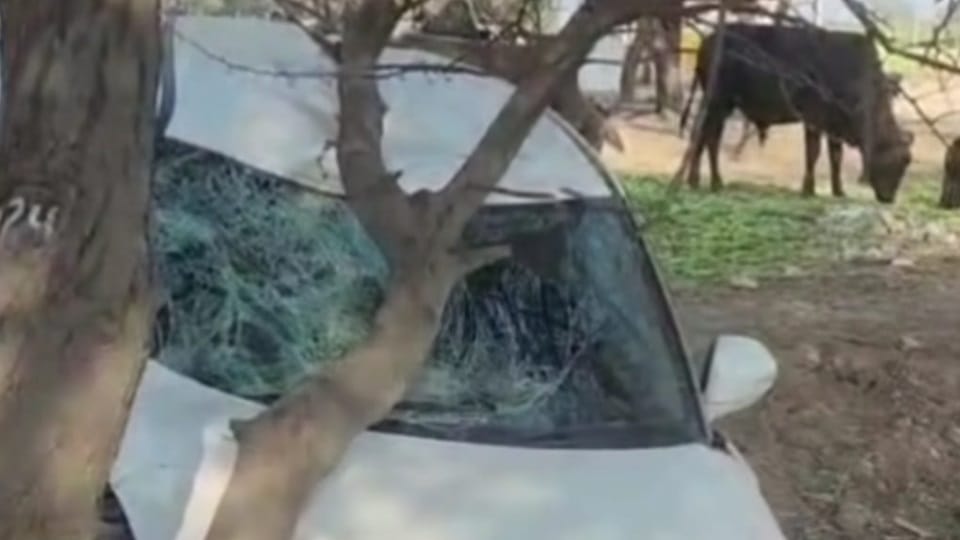 Accident in Abohar Car crushed two bike riders