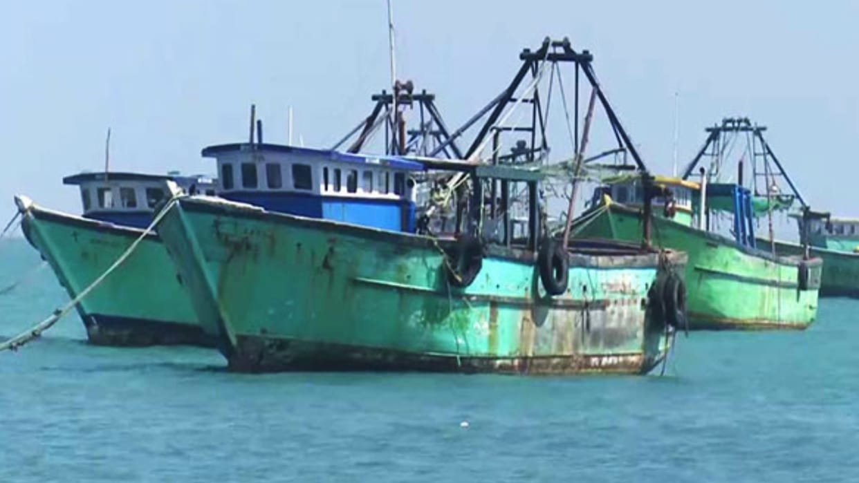 China's tuna vessels used North Korea crews in breach of UN bans: Report