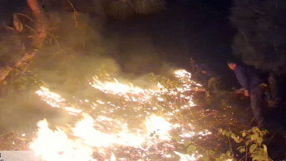 Hotel saved from being hit by forest fire in Someshwar Range