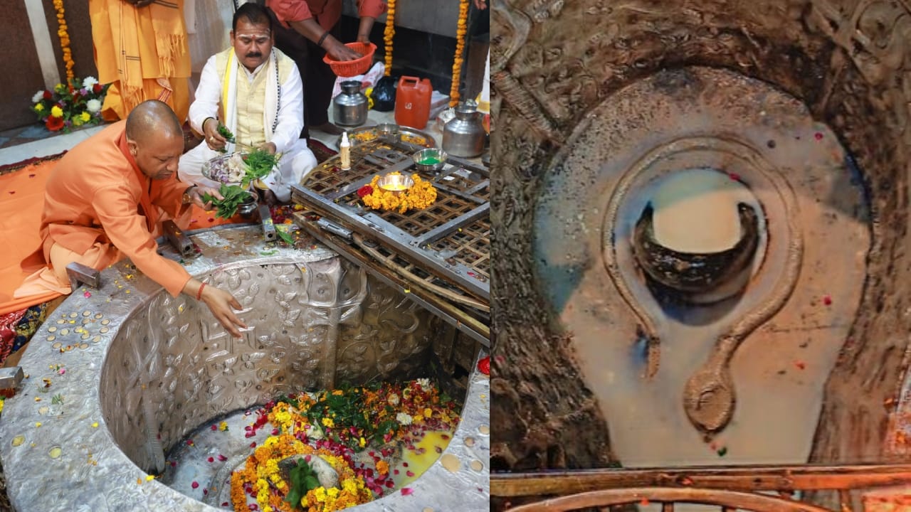Nag Panchami 2026 Remedies 5 Simple Ways to Reduce Kaal Sarp Dosh Effects in hindi