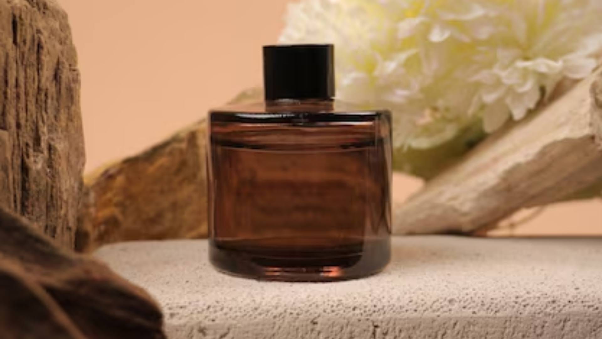 Christmas Gift Idea for girlfriend to mother in budget