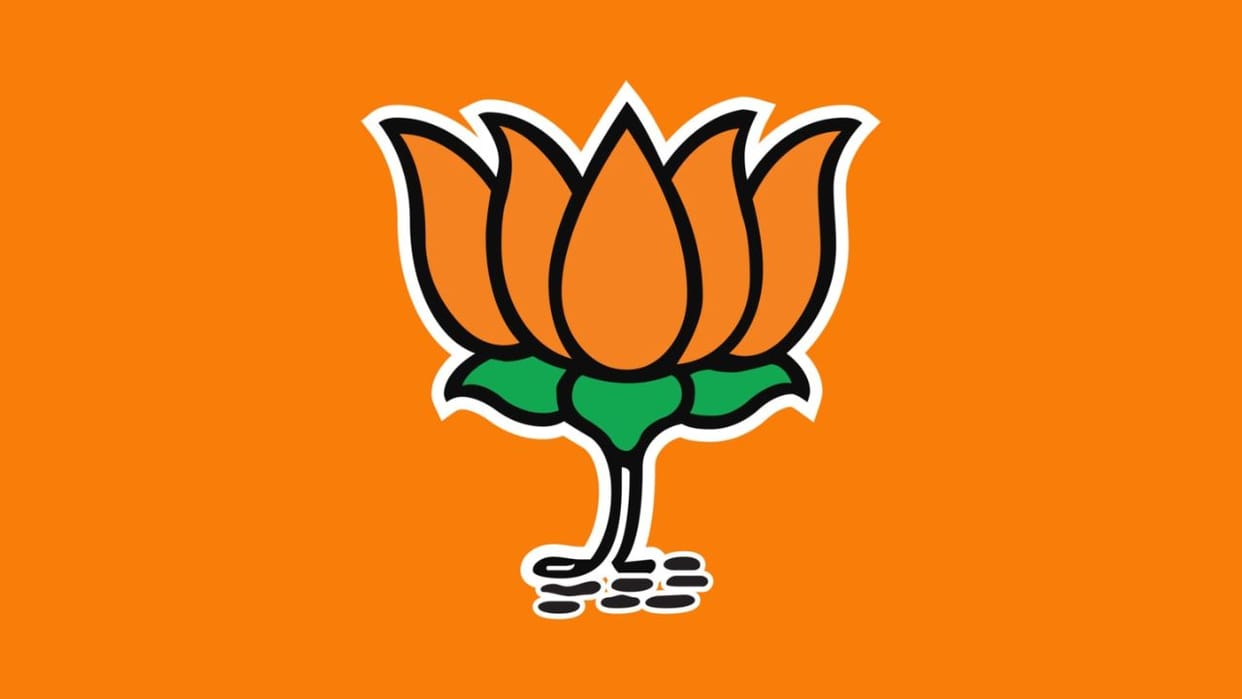BJP will get new president before RSS representative assembly meeting