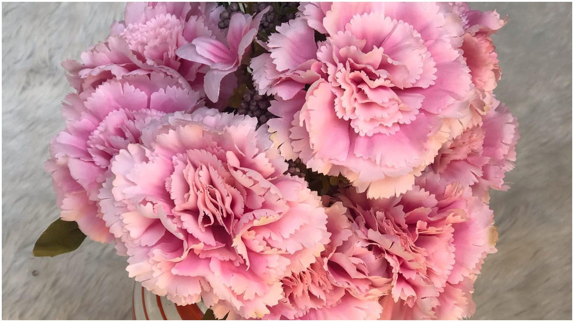 Gardening Tips List Of Beautiful Flowers That Look Like Roses in hindi gulab jaise dikhne wale phool
