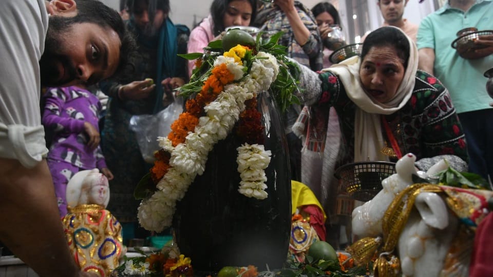 Maha Shivratri 2025 celebrated in Chandigarh mohali panchkula