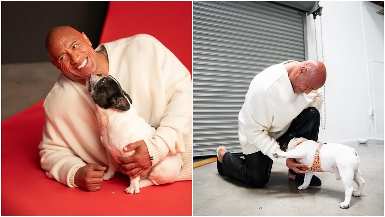 Dwayne Johnson shared heartfelt post on his pet dog death says Numb Over This Loss