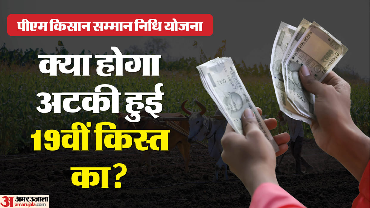 PM Kisan Yojana 19th Installment Not Received Know Possible Reasons and Complaint Process In Hindi