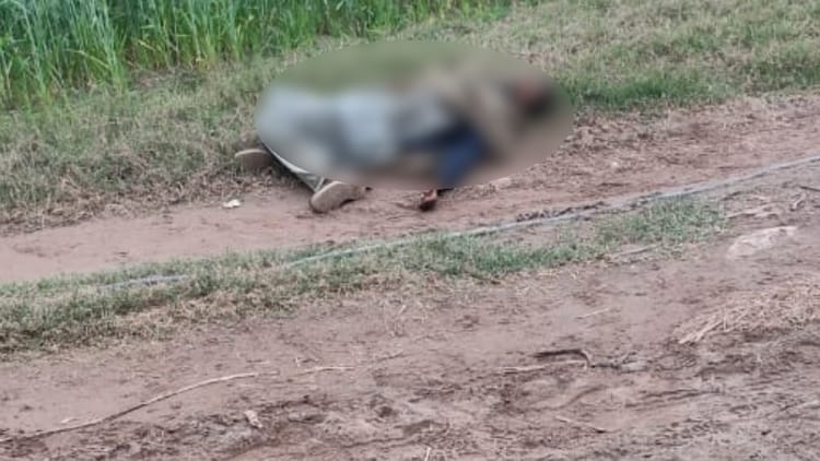 Bsf Killed An Intruder Tried To Infiltrate Punjab And Jammu-kashmir Border In Pathankot – Amar Ujala Hindi News Live