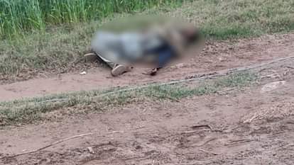Punjab: पठानकोट में जम्मू सीमा पर बीएसएफ ने ढेर किया घुसपैठिया BSF killed an intruder tried to infiltrate Punjab and Jammu-Kashmir border in Pathankot