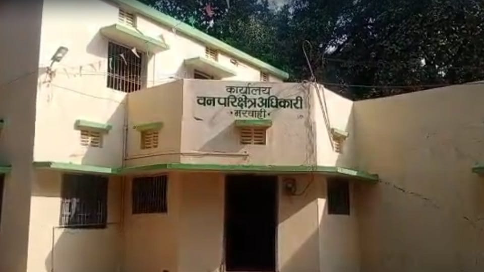 भालू का मिला शव