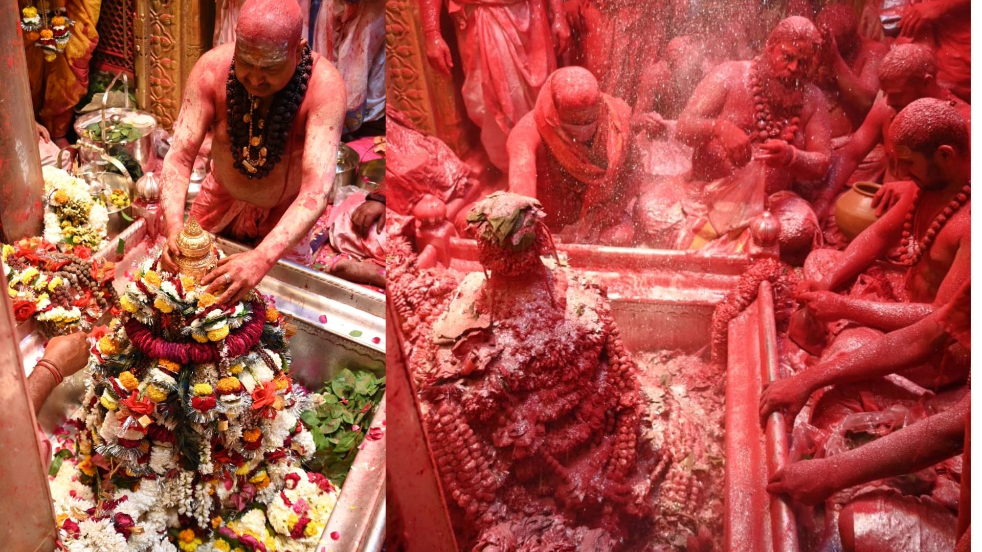 Special decoration of Baba Vishwanath on Mahashivratri see amazing view