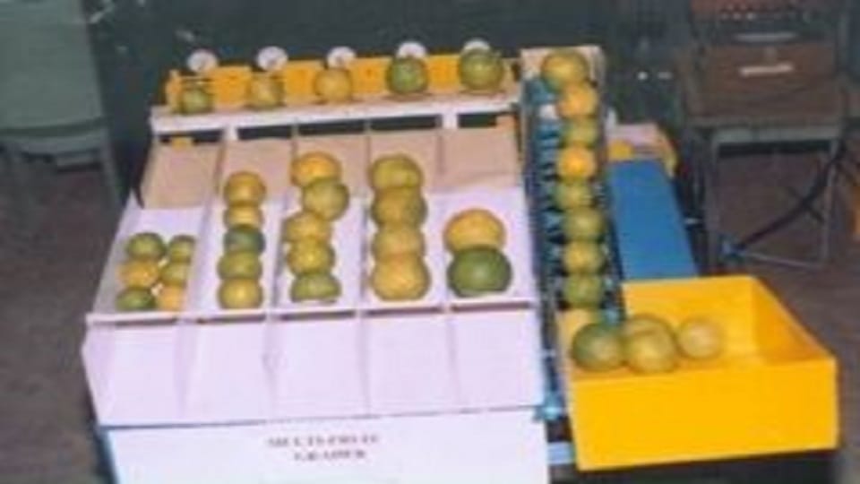 Pantnagar University scientists invented multi fruit grader machine