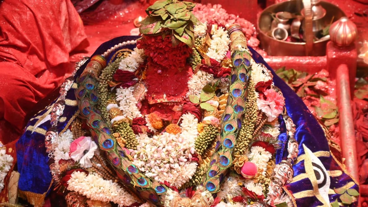 Special decoration of Baba Vishwanath on Mahashivratri see amazing view