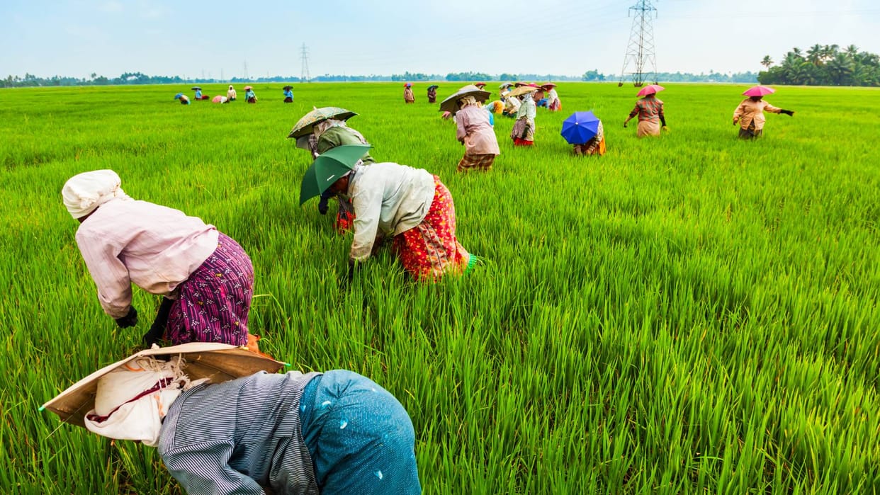 PM Kisan samman nidhi yojana 20th kist Avoid common Mistakes to secure installment payment