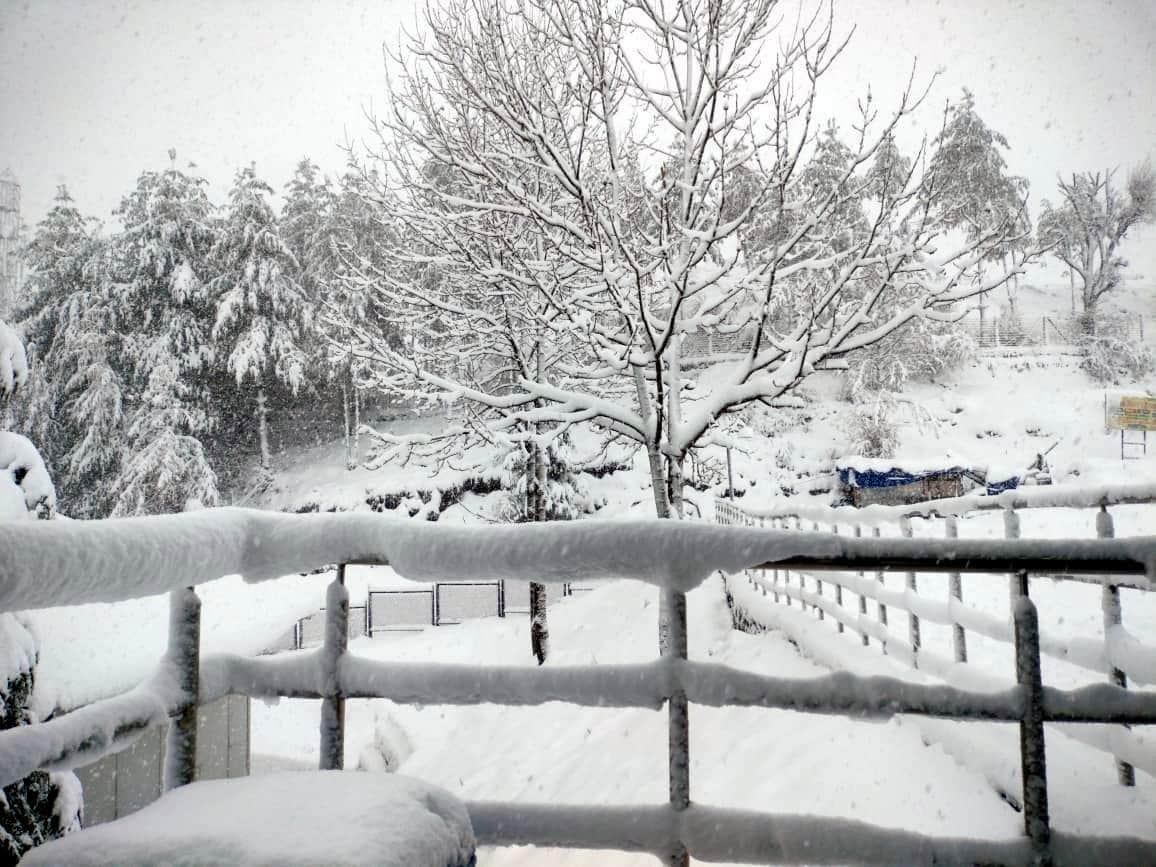Uttarakhand Snowfall More than 50 villages and Auli in Chamoli covered with heavy snow school closed