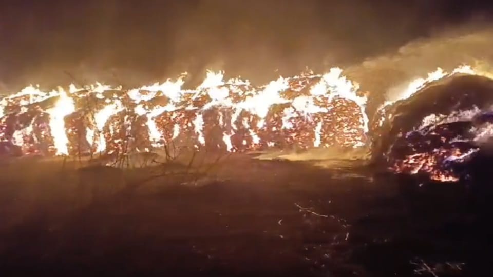 Massive fire in Digrota village of Mahendragarh, 95 acres of animal fodder burnt to ashes