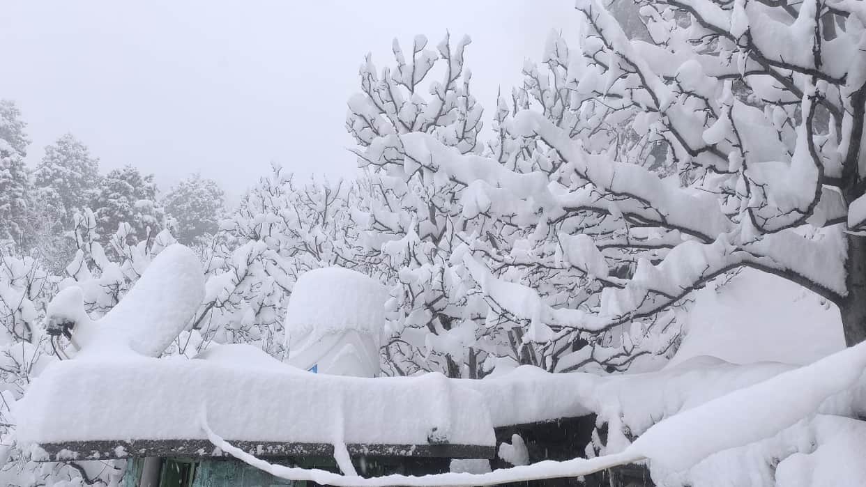 Weather News What is La Nina weather Know about the phenomenon that will affect winters in India